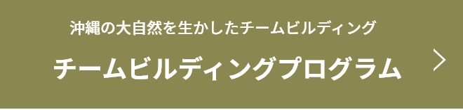 チームビルディングプログラム